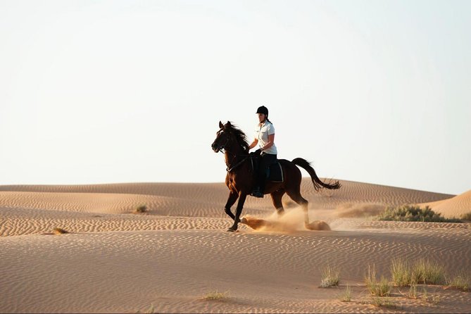 Horseback Riding in Dubai Desert with Transfers - From Hotel Pickup to Desert Saddles: What the Timing Really Means