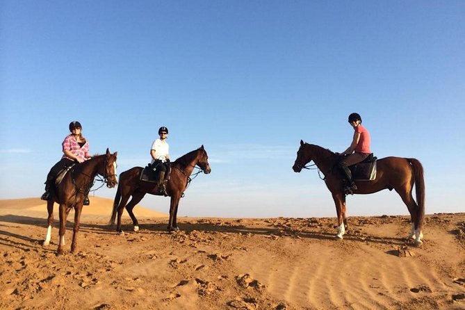 Horseback Riding in Dubai Desert with Transfers - Comfort and Practical Stuff: What to Bring, What to Expect