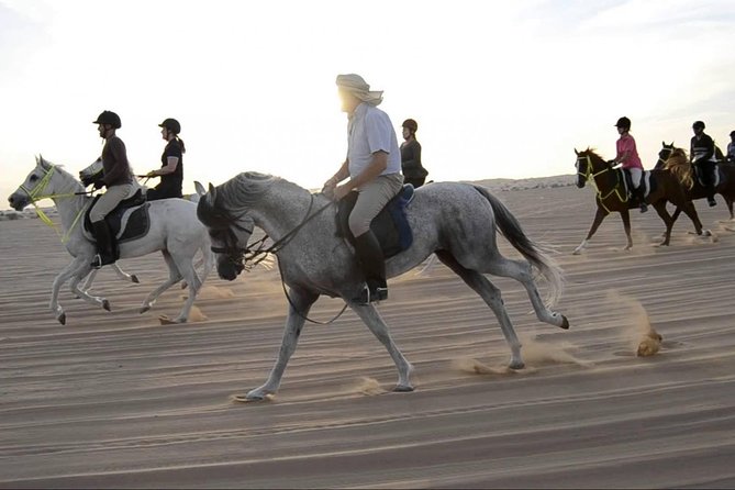 Horseback Riding in Dubai Desert with Transfers - At the Stable: Horse Matching, Safety Briefing, and the Reality Check