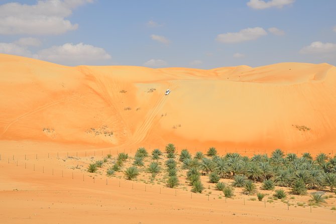 Liwa Full Day Desert Safari (exploring) - Key Things You Should Know Before You Go