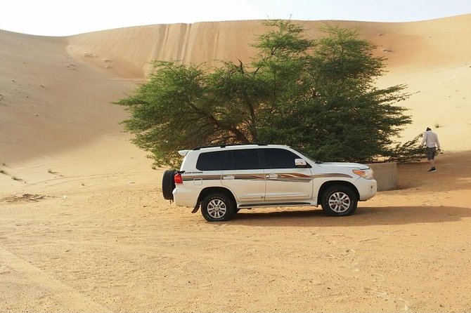 Liwa Full Day Desert Safari from Abu Dhabi - Key things to know before you go