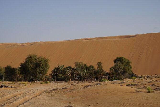 Liwa Full Day Desert Safari from Abu Dhabi - Liwa Fort and castle visits: the culture stop you can actually look at