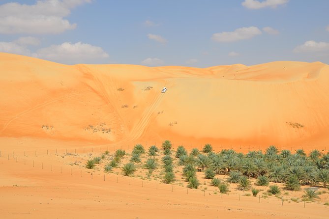 Liwa Full Day Desert Safari from Abu Dhabi - Dune bashing in a 4x4: the thrill, and what to expect safely
