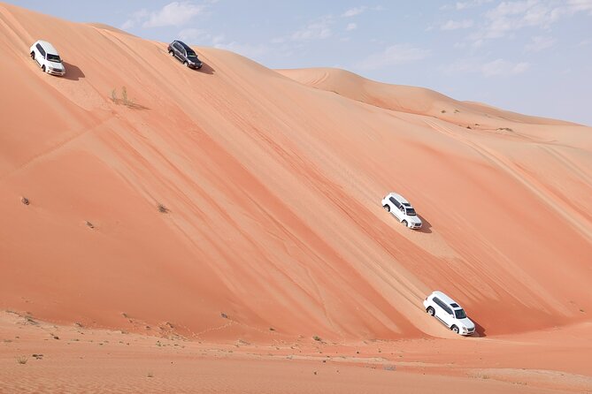 Liwa Oasis Desert Drive from Abu Dhabi - Key takeaways on the Liwa Oasis Desert Drive