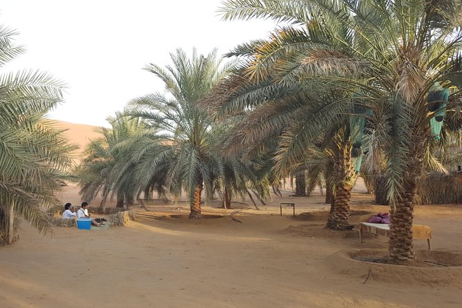 Liwa Oasis Desert Drive from Abu Dhabi - Should you book the Liwa Oasis Desert Drive?