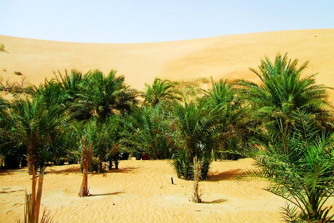 Liwa Over Night Safari - Meals and What’s Included: Dinner, Breakfast, Lunch, Water