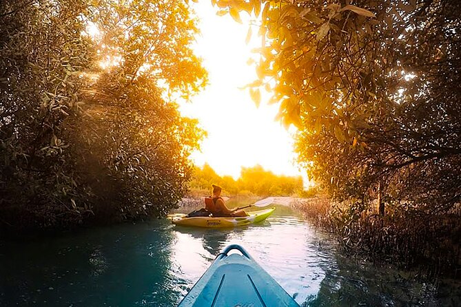 Mangrove Kayaking Abu Dhabi - Key Points to Know Before You Go
