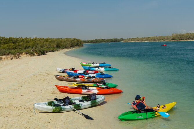 Mangrove Kayaking Abu Dhabi - Why Mangrove Kayaking in Abu Dhabi Feels Different