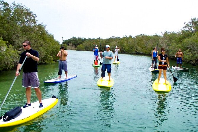 Mangrove Kayaking Abu Dhabi - Paddling Through the Mangrove Canals: What You’ll See