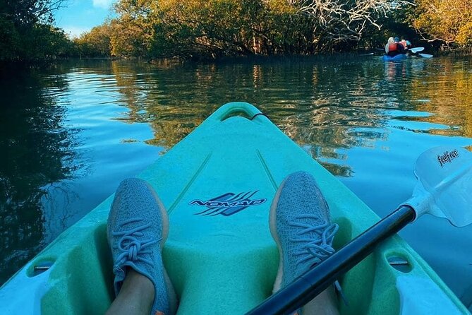 Mangrove Kayaking Abu Dhabi - When the Usual Mangroves Are Closed, You Still Paddle