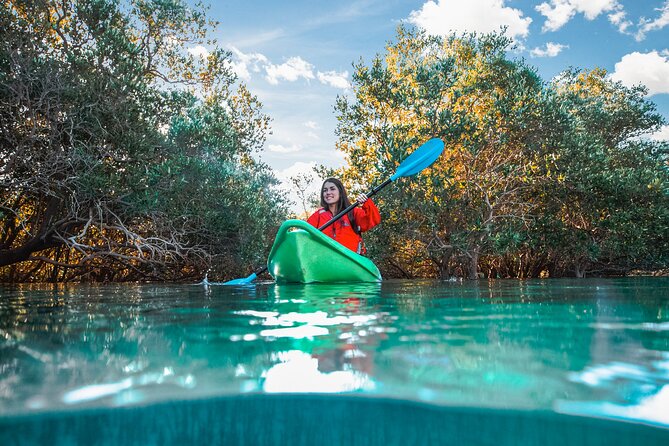 Mangrove Kayaking Abu Dhabi - Timing, Pickup, and What 90 Minutes Really Means