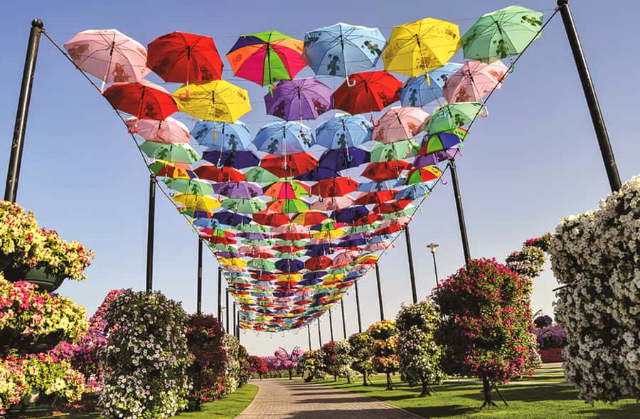 Miracle Flora & Fauna Marvels at Miracle Garden - Key things I’d plan around