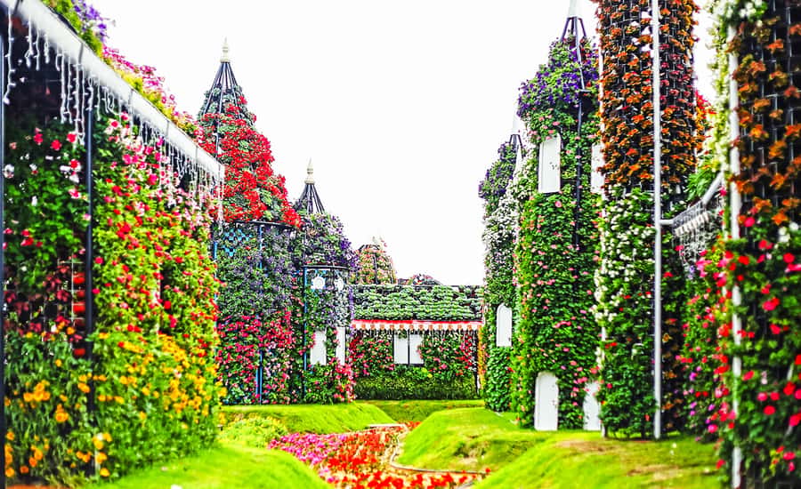 Miracle Flora & Fauna Marvels at Miracle Garden - Miracle Garden’s 45 million flowers: the world’s longest wall moment