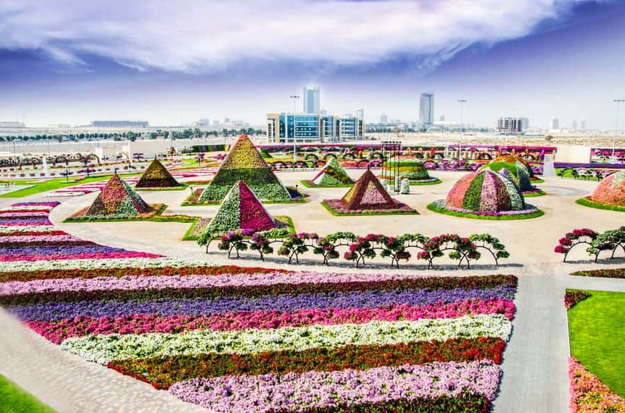 Miracle Flora & Fauna Marvels at Miracle Garden - Timing, shared transport, and why 4 hours can feel short