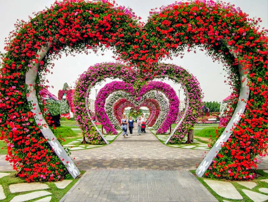 Miracle Flora & Fauna Marvels at Miracle Garden - Price and value: is $114 a fair deal?