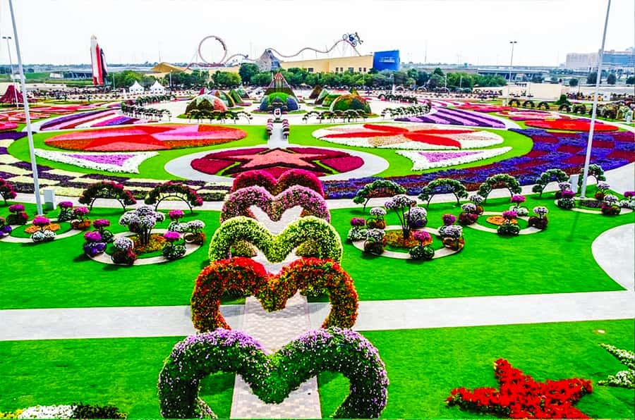 Miracle Flora & Fauna Marvels at Miracle Garden - Butterfly Garden in Al Barsha: 3D domes and butterfly variety