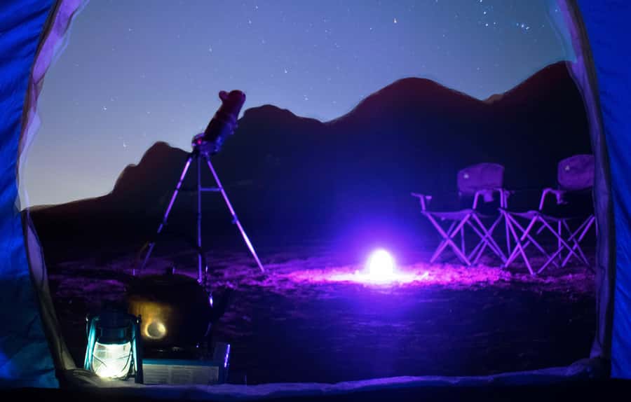 Mleiha Desert Safari with Sandboarding, Stargazing & Dinner - Who this safari is best for, and who should skip it
