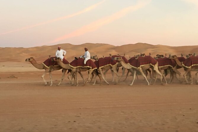 Morning Camel Trekking Over the Red Sand Dunes - Should you book this morning camel trekking tour?