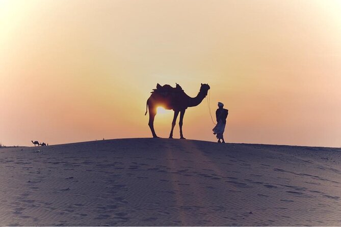 Morning Desert Safari, 25 Minutes ATV with 20 minutes Camel Ride - Sandboarding after dune bashing: quick, fun, and worth packing courage