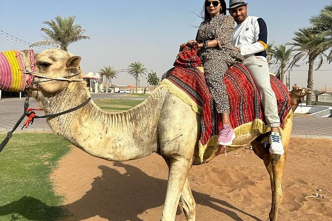 Morning Desert Safari, 25 Minutes ATV with 20 minutes Camel Ride - Who this morning safari is best for