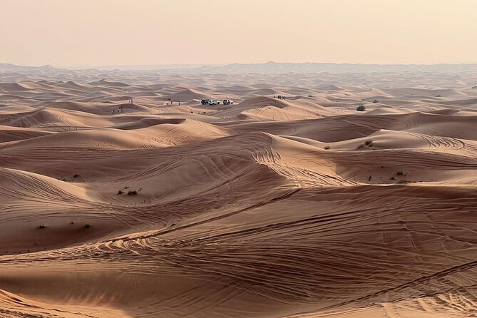 Morning Desert Safari Abu Dhabi with Camel Ride - Optional quad bike rental for speed fans
