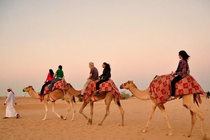 Morning Desert Safari Abu Dhabi with Camel Ride - Abu Dhabi hotel pickup to the dunes in 4WD