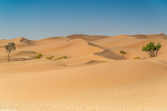 Morning Desert Safari Adventure in Abu Dhabi - Sunrise Pickup and the Drive to Al Khatim Desert Camp
