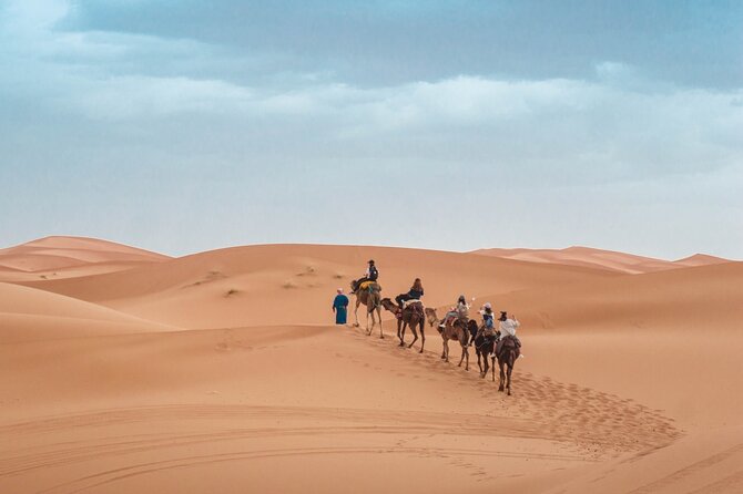 Morning Desert Safari From Abu Dhabi -Camel Ride,Sand Boarding,Camel Farm Visit - The Role of the Guide: Why Names Keep Coming Up