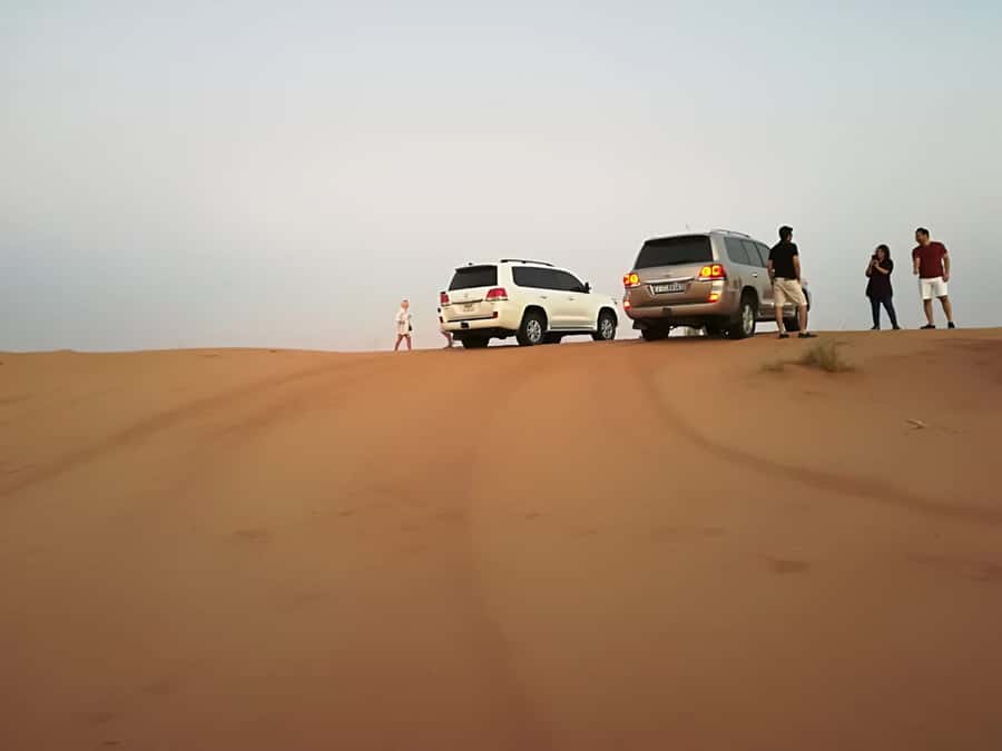 Morning Desert Safari in Ras Al Khaimah - Key highlights in plain terms