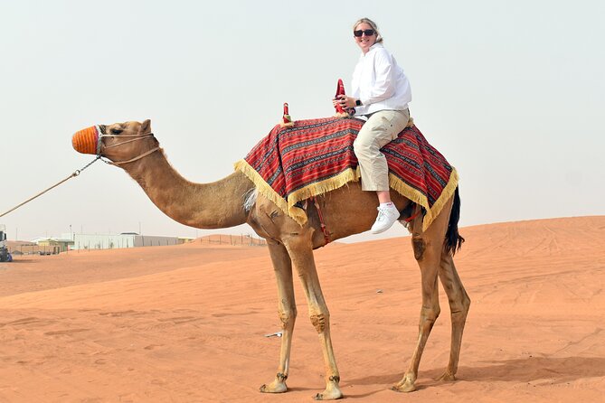 Morning Desert Safari, Quad Bike, Sandboard and Camel Ride - Camel farm stop: feeding, interaction, and a short ride