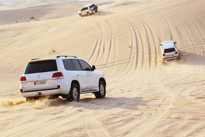 Morning Desert Safari with Camel Ride & Sand Skiing Private Tours - From Abu Dhabi pickup to the Al Khatim dune viewpoint
