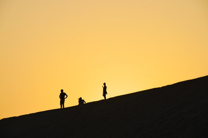 Morning Desert Safari with Camel Ride & Sand Skiing Private Tours - Who should book this morning safari, and who should skip parts