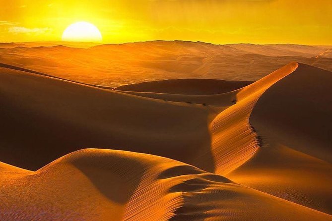 Morning Desert Safari with Camel Ride & Sand Skiing Private Tours - 4x4 dune bashing: the thrill ride with a comfort reality check