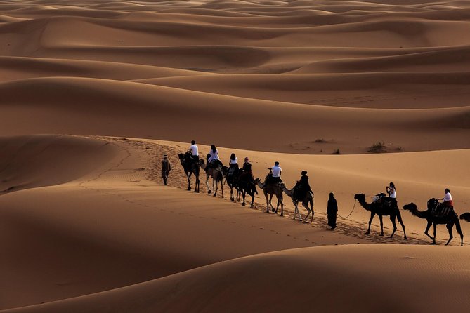 Morning Desert Safari with Dune Bashing and Sand Boarding - Key things I’d prioritize before you go