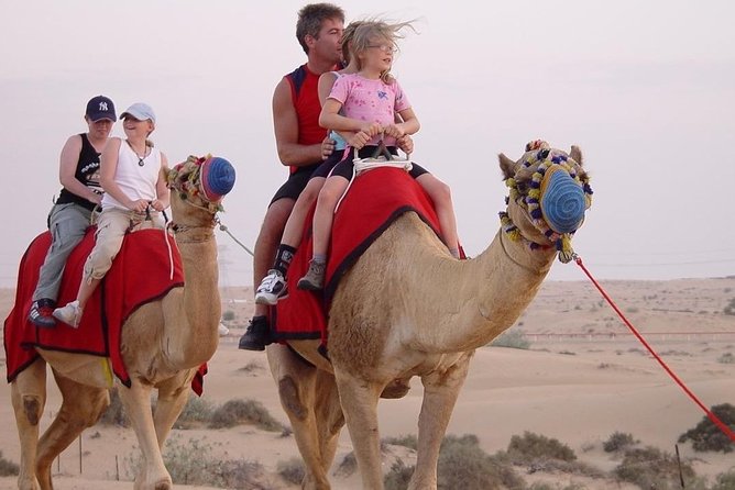 Morning Desert Safari With Quad Bike - Price and Value: Is $65 a Smart Desert Choice?