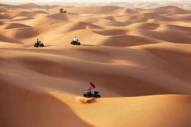 Morning Desert Safari with Quad Bike Tour Abu Dhabi - Dune Bashing in the 4x4: The Adrenaline Moment People Talk About