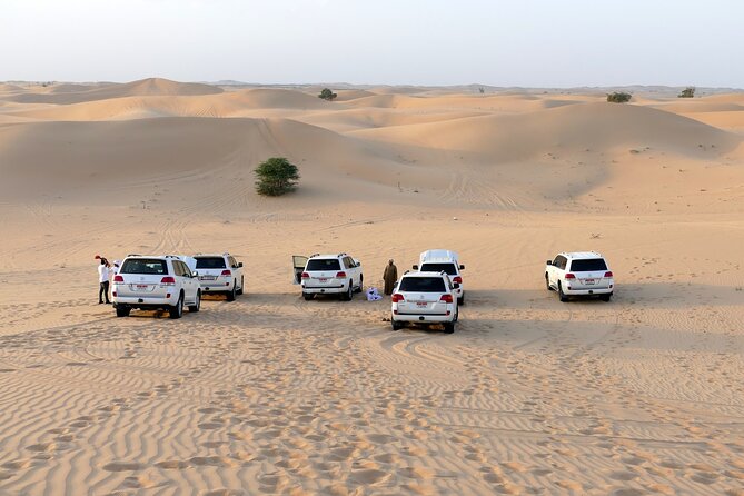 Morning Desert Safari with Quad Bike Tours - Key Highlights You Should Know
