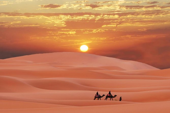 Morning Dubai Desert Dune Bashing and Camel Ride - What to Wear and Who Should Skip This Morning Ride