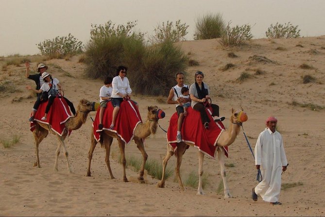 Morning Dubai Desert Dune Bashing and Camel Ride - Lahbab Dune Bashing by 4x4 (About 30 Minutes of Roller-Coaster Sand)