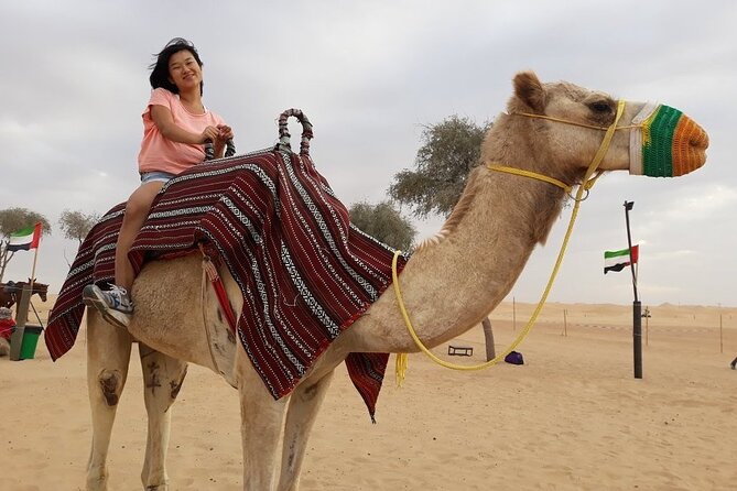Morning Dubai desert safari - camel rides, quad bikes, dune buggies,dune bashing - Dune bashing, why the right driver is the whole point