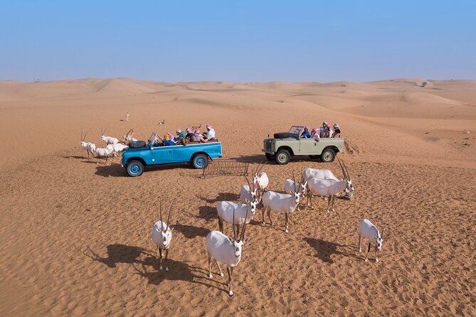 Morning Falconry & Nature Desert Safari with Transfers from Dubai - Price and Value: What $166.07 Buys You