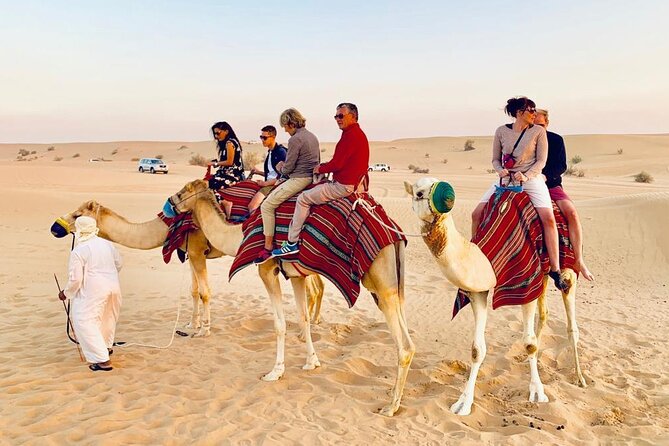 Morning Red Dunes Safari: Camel Ride & Sandboarding Adventure - Price and value: why $35 can actually feel fair