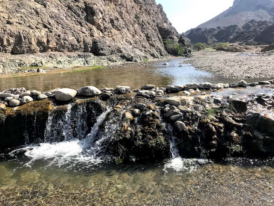 Muscat: Day Tour with Omani Lunch, Hotel Pickup, and Airfare - Muttrah Corniche, fish market, and souk: the old Muscat feeling
