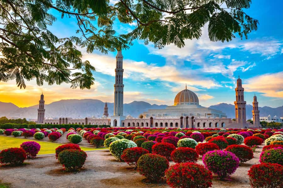 Muscat: Day Tour with Omani Lunch, Hotel Pickup, and Airfare - Pickup across the UAE, with a private pace you can actually feel
