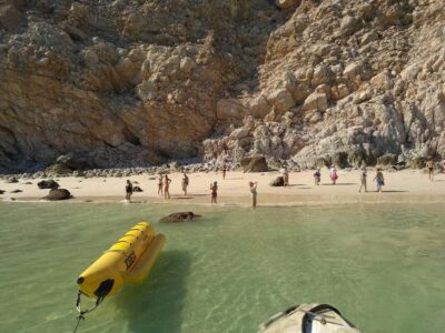 Mystic Musandam Full-Day Sea Safari