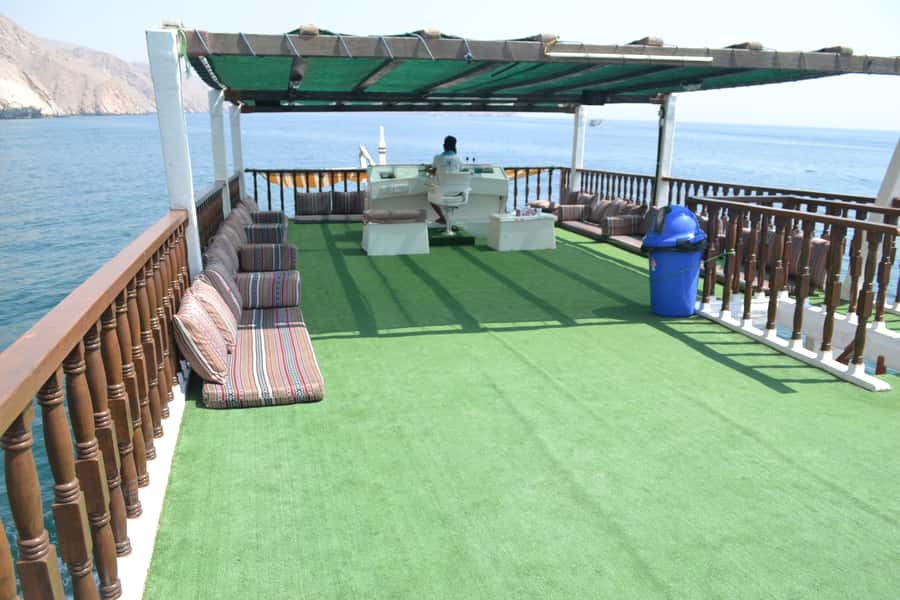Mystic Musandam Full-Day Sea Safari - Who should book this sea safari, and who might skip it