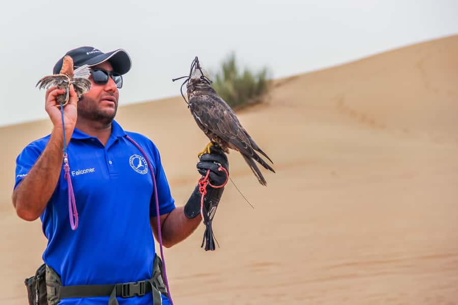 Overnight Dubai Desert Safari with BBQ Dinner - The Brief Camel Farm Stop and How to Use It