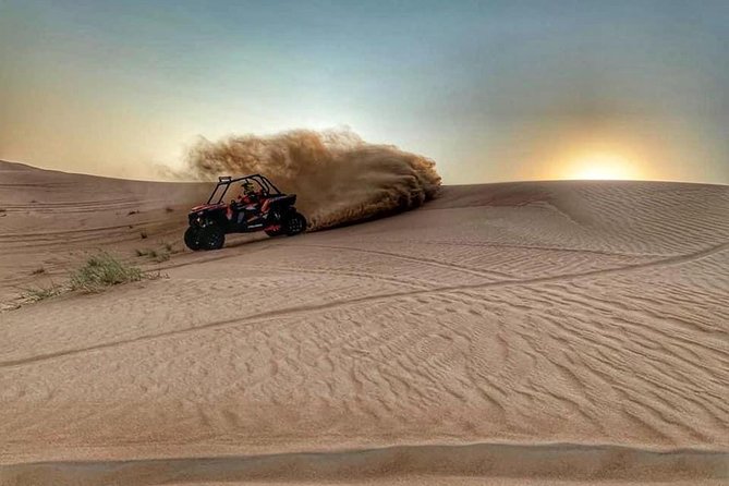 Polaris RZR 1000cc 2seater Desert Adventure Guided Tour - Who should book this Polaris RZR ride, and who should skip