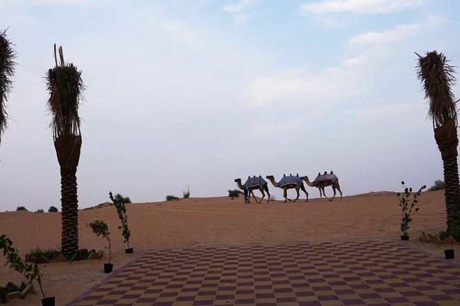 Premium Deluxe Dubai Safari with Camel Ride, Sandboard & BBQ - Price, included extras, and what costs extra on the spot