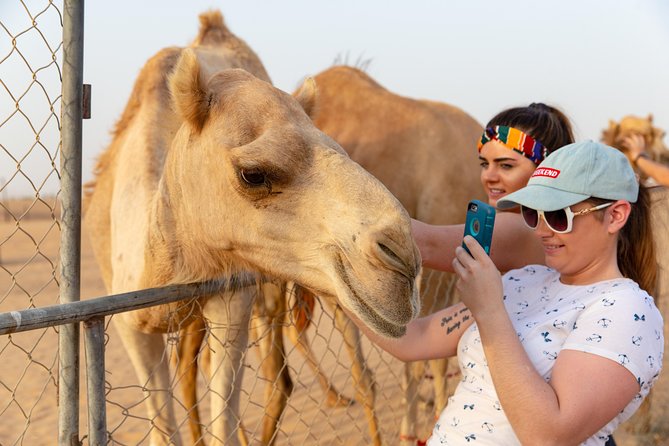 Premium Dubai Desert Safari with BBQ Dinner in the Red Dunes - Sandboarding: Fun if You Treat It Like Practice